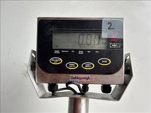 Shivalik MS Platform Scale, For Industrial at best price in